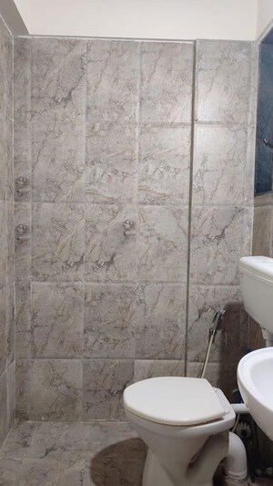 Bathroom in 2 BHK Apartment at DSK Kunjaban, Punawale – for Rent