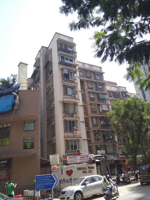 1 BHK Apartment For Rent in Krutishil Borivali Pushpa CHSL