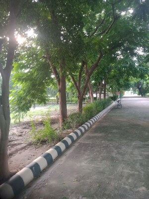   Plot at Bithoor – for Sale
