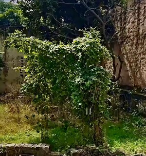  Plot – Garden View at Meerut Cantt - for Sale