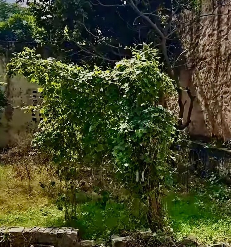 Garden, meerut cantt  280 Sq.Yd. Plot In Meerut Cantt Meerut 10259383