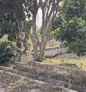  Plot – Exterior View View at Meerut Cantt - for Sale