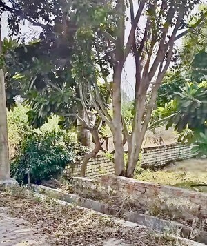 Plot Area in  Plot at Meerut Cantt – for Sale