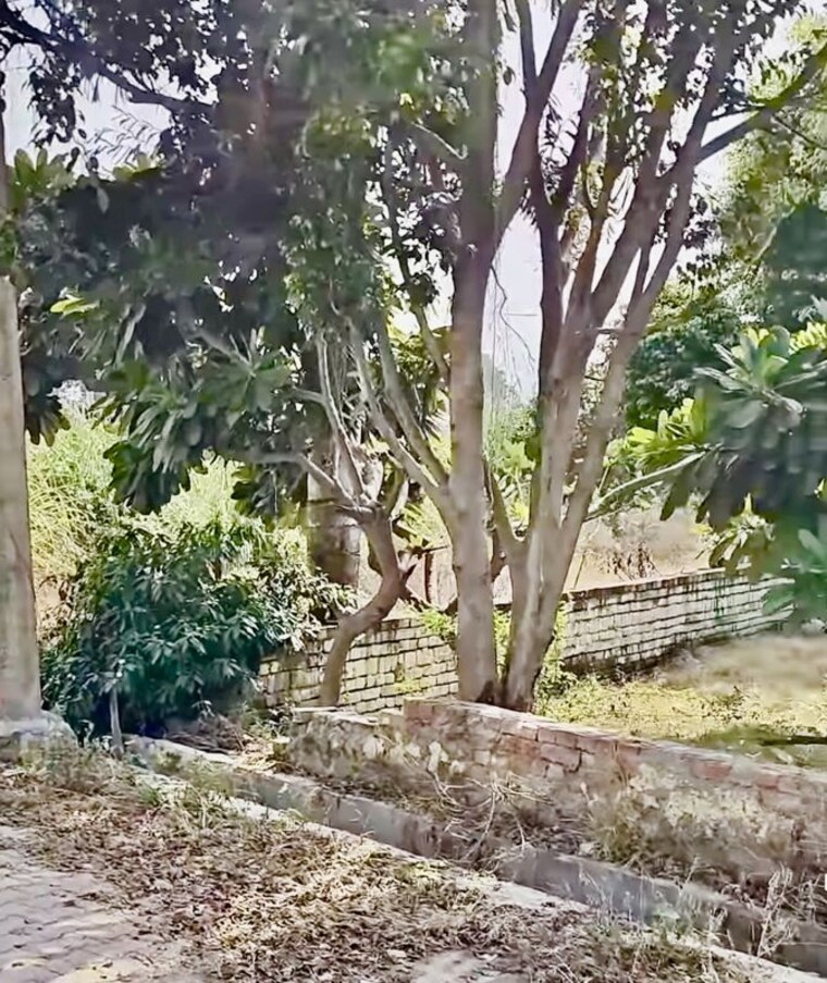 undefined, meerut cantt  280 Sq.Yd. Plot In Meerut Cantt Meerut 10259383