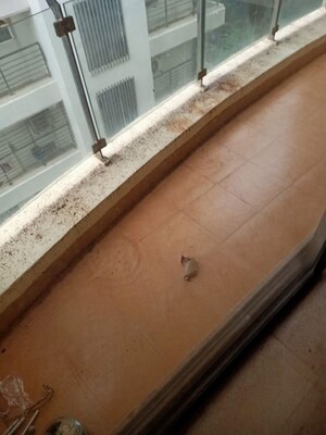 Balcony in 3 BHK Apartment at Ekta Everglades, Bandra West – for Rent