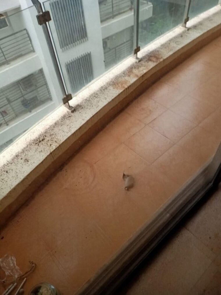 Balcony, ekta-everglades 3 Bedroom 1250 Sq.Ft. Apartment In Bandra West Mumbai 10259389