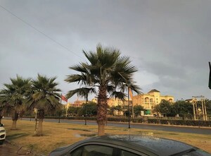 3 BHK Builder Floor – Map Location View at Omaxe Ambrosia, North Mullanpur - for Sale