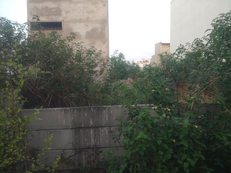 undefined, fasttrack-heavens-life  1250 Sq.Ft. Plot In Katara Hills Bhopal 10259712