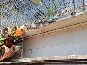 1 BHK Apartment – Exterior View View at Akash Arpan Residency, Nalasopara West - for Rent