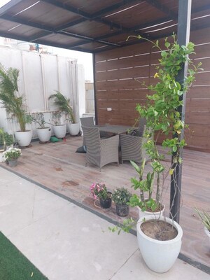 Balcony in 3 BHK Builder Floor at Sector 55 – for Rent