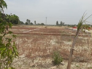 Plot Area in  Plot at Mohanlalganj – for Sale