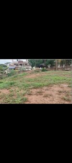 204 Sq.Yd. Plot in Sector 80