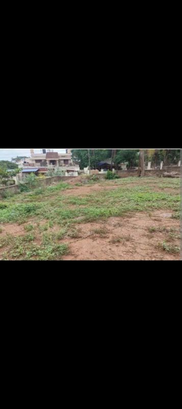 Plot For Sale in Sector 80