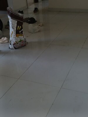 2 BHK Independent House For Rent in Sector 39