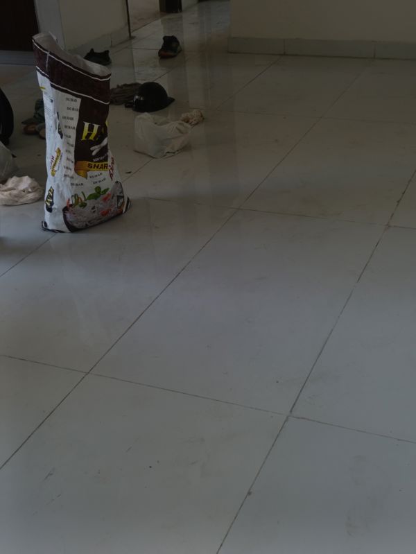 2 BHK + Pooja Room Independent House For Rent in Sector 39
