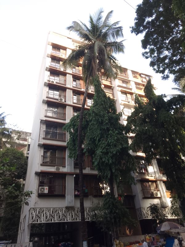 1 BHK 650 Sq.Ft. Apartment in Pushpavadi CHS