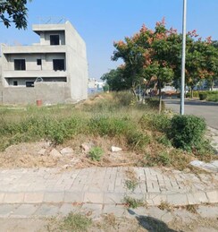 Land For Sale in Sector 84
