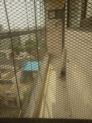 Bathroom in 2 BHK Builder Floor at Palam Vihar – for Rent