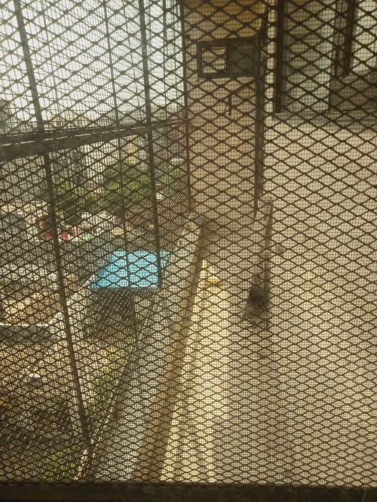Bathroom, palam vihar 2 Bedroom 850 Sq.Ft. Builder Floor In Palam Vihar Gurgaon 10261443