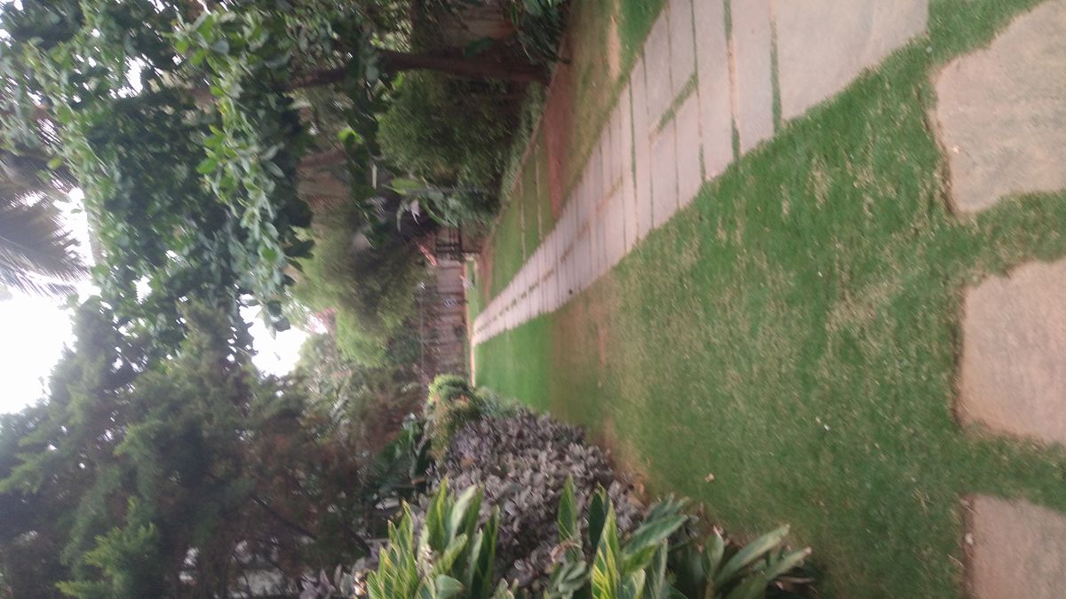2 BHK Apartment For Rent in Bhartiya Nikoo Homes Phase 2