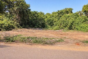  Plot For Sale in Parra