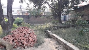 Plot Area in  Plot at Tiwari Tola – for Sale