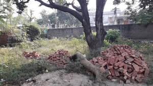 Plot Area in  Plot at Tiwari Tola – for Sale