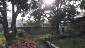 Plot Area in  Plot at Tiwari Tola – for Sale