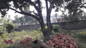  Plot For Sale in Tiwari Tola