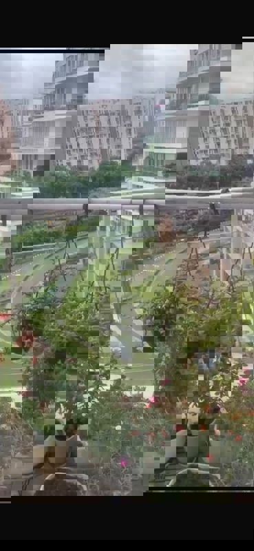 4 BHK + Servant Room 4795 Sq.Ft. Apartment in Pioneer Park Presidia