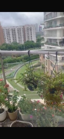4 BHK + Servant Room Apartment For Sale in Pioneer Park Presidia