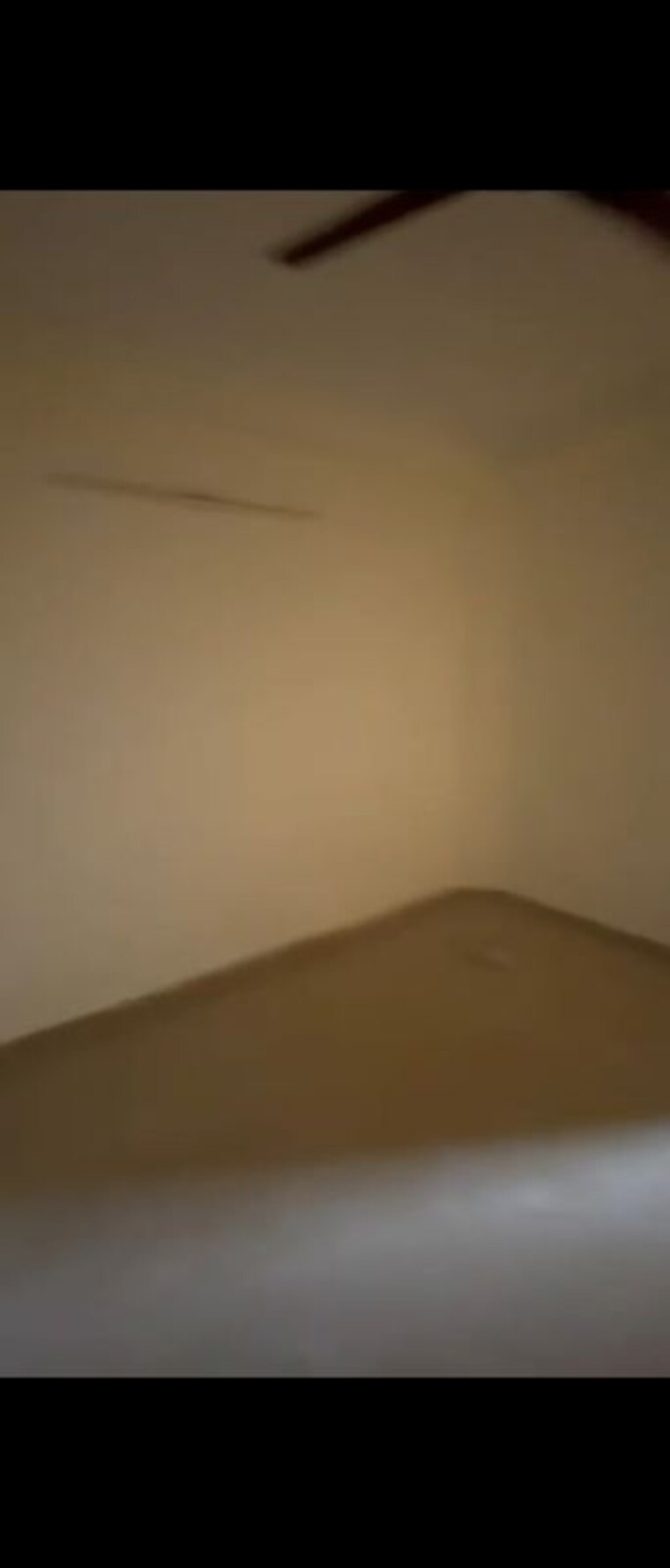 Room, aya nagar 1 Bedroom 60 Sq.Yd. Independent House In Aya Nagar Delhi 10256658