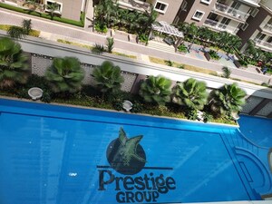Swimming Pool in 3 BHK Apartment at Prestige Beverly Hills, Kokapet – for Rent