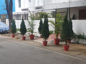 4 BHK Villa – Exterior View View at Gulmohar Park - for Rent