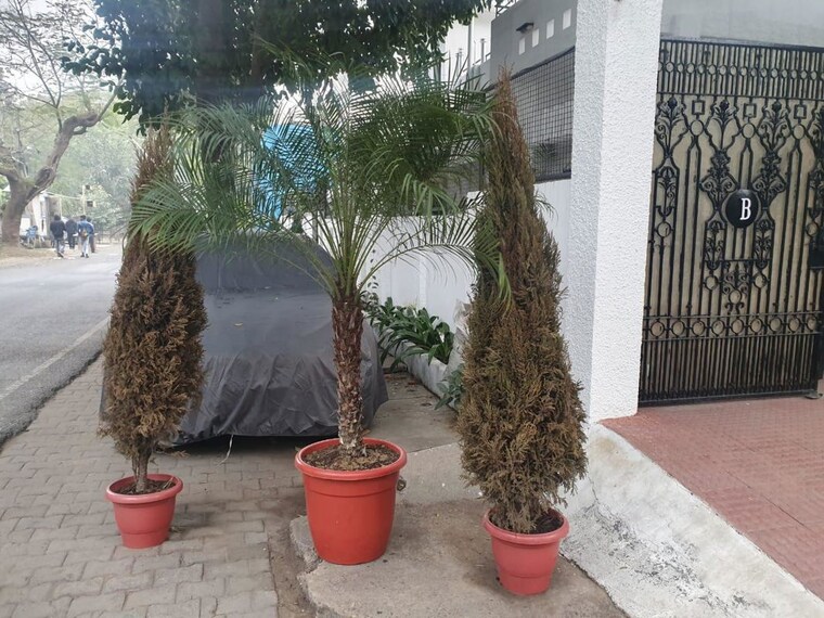 Garden, gulmohar park 4 Bedroom 600 Sq.Yd. Villa In Gulmohar Park Delhi 10262832