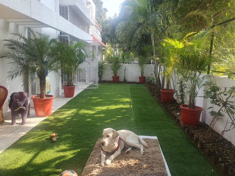 Garden, gulmohar park 4 Bedroom 600 Sq.Yd. Villa In Gulmohar Park Delhi 10262832