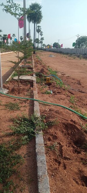 Plot Area in  Plot at Kongara Kalan – for Sale