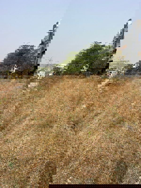 Plot For Sale in Kesnand