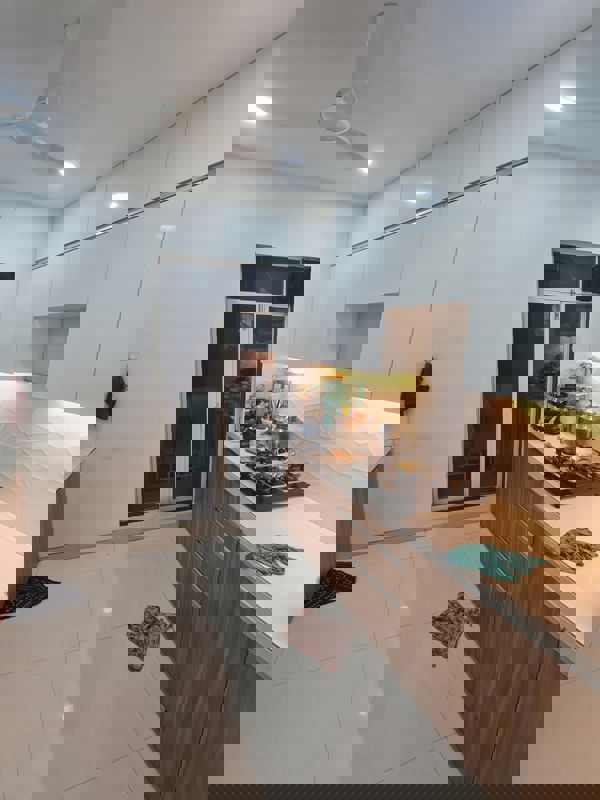 3 BHK + Pooja Room,Servant Room,Study Room,Extra Room,Basement,Store Room 1250 Sq.Ft. Apartment in Ekta Meadows