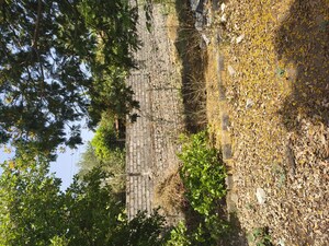  Plot – Exterior View View at Kowkoor - for Sale