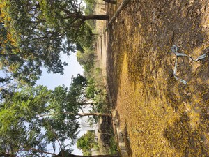  Plot – Garden View at Kowkoor - for Sale