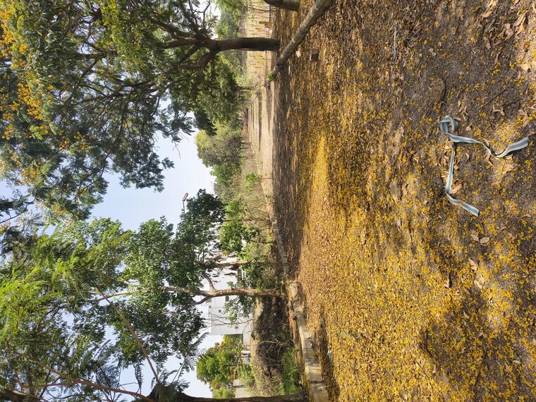 Garden, kowkoor  300 Sq.Ft. Plot In Kowkoor Hyderabad 10263247