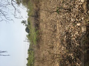  Plot – Garden View at Kowkoor - for Sale