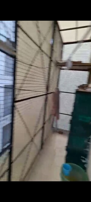 Balcony in 2 BHK Builder Floor at Lajpat Nagar I – for Rent