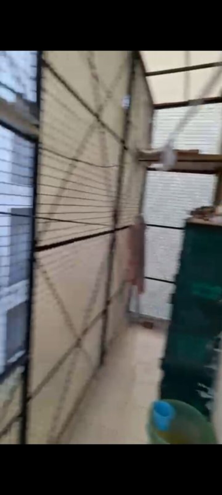 Balcony, lajpat nagar i 2 Bedroom 900 Sq.Ft. Builder Floor In Lajpat Nagar I Delhi 10263259