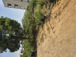 500 Sq.Ft. Plot in Mani Enclave Yapral