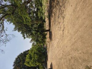 Plot Area in  Plot at Mani Enclave Yapral, Yapral – for Sale
