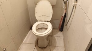 Bathroom in 1 BHK Apartment at Patil Complex Bopodi, Bopodi – for Rent