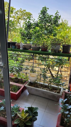 Balcony in 3 BHK Apartment at Omaxe Heights, Sector 86 – for Rent