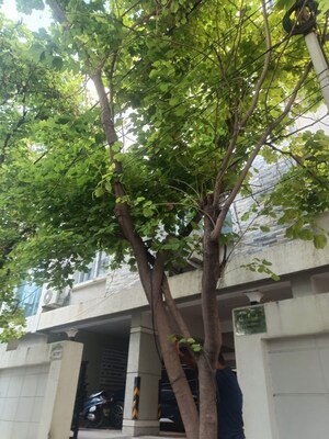 Balcony in  Office Space at Gachibowli – for Rent